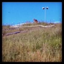 Carlos Sea Otter Finish