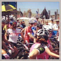 lisa sea otter start